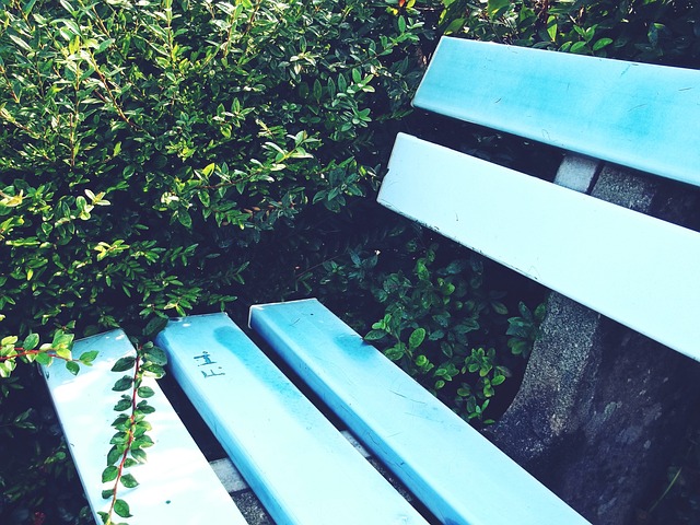 沃西盛赞湖人球星，表现惊艳！率队力克灰熊，展现领袖风采.